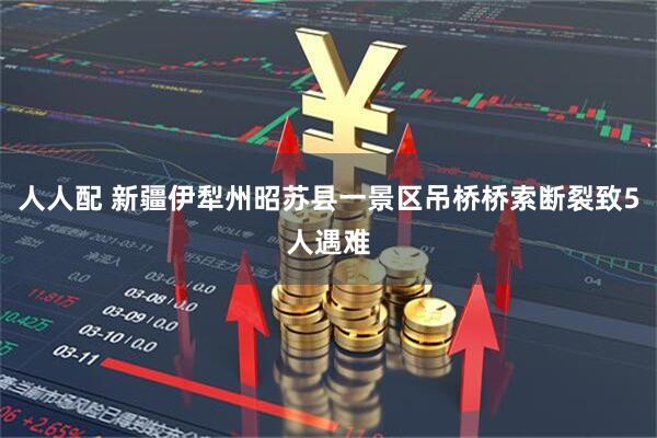 人人配 新疆伊犁州昭苏县一景区吊桥桥索断裂致5人遇难