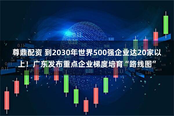 尊鼎配资 到2030年世界500强企业达20家以上！广东发布重点企业梯度培育“路线图”