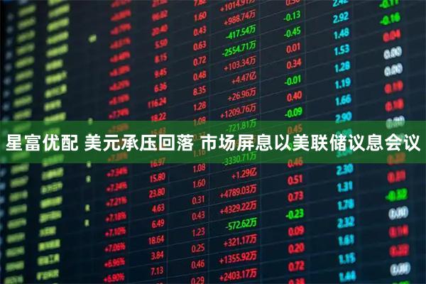 星富优配 美元承压回落 市场屏息以美联储议息会议