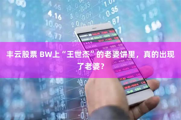 丰云股票 BW上“王世杰”的老婆饼里，真的出现了老婆？